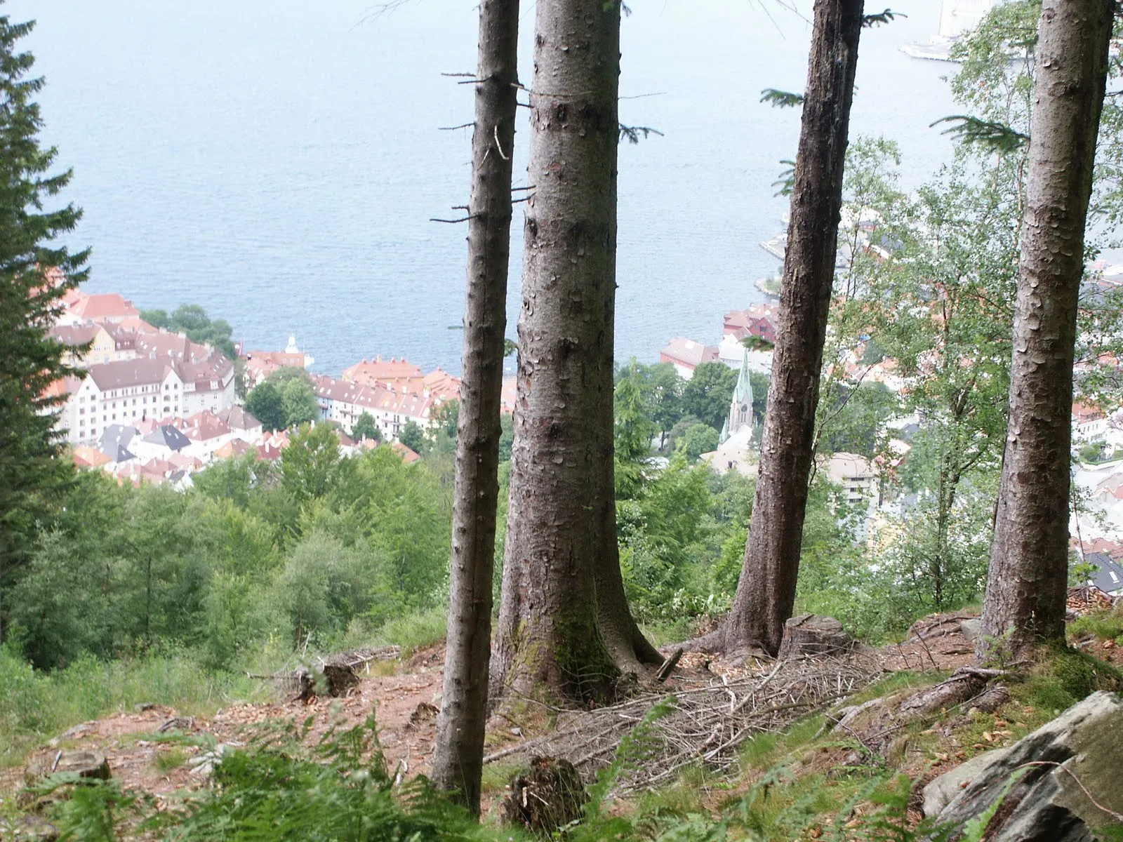 Walking down from Fløyen