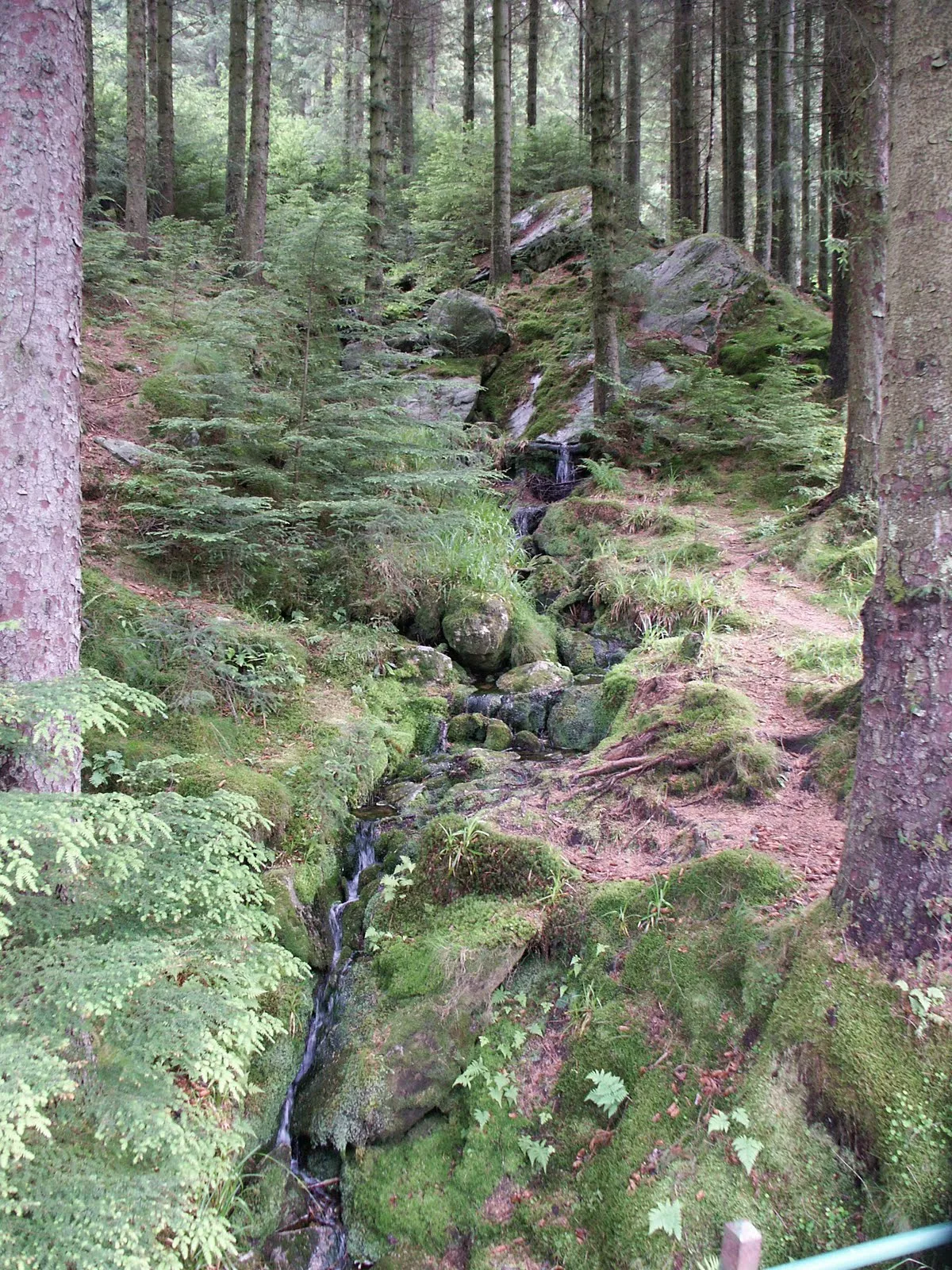 Walking down from Fløyen