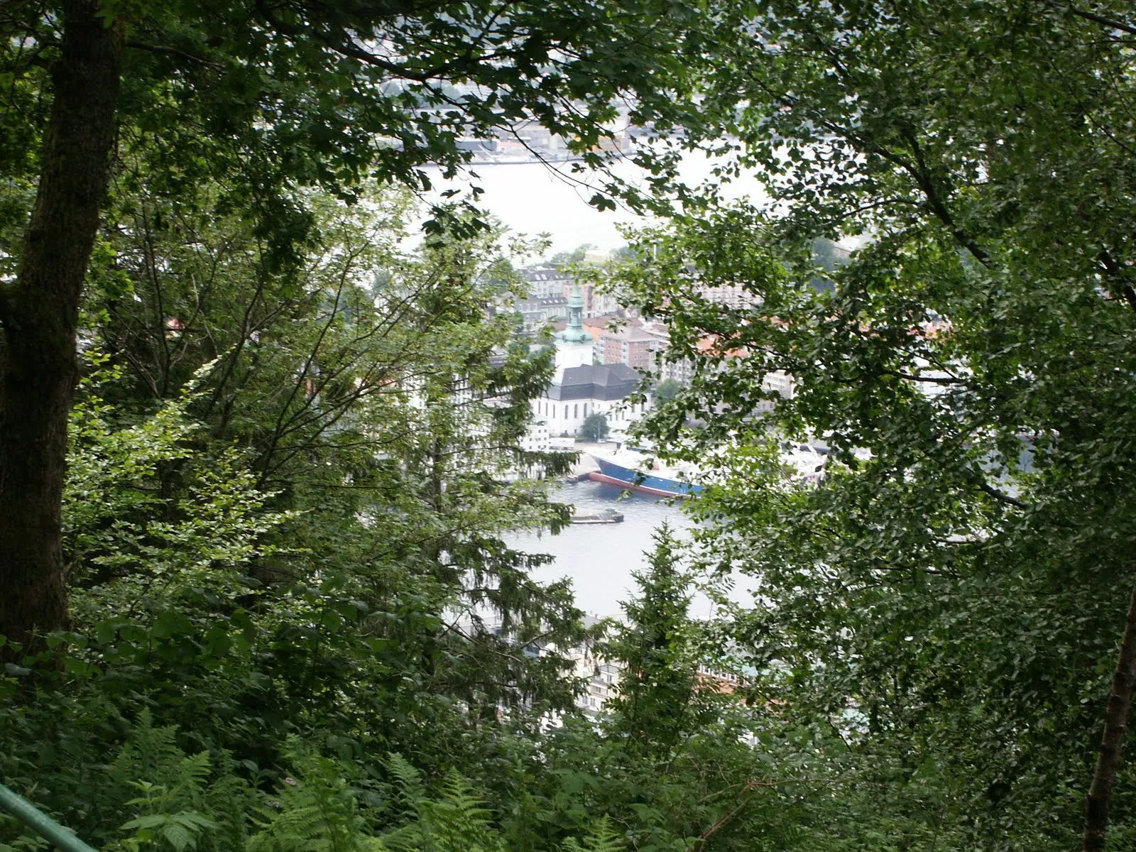 Walking down from Fløyen