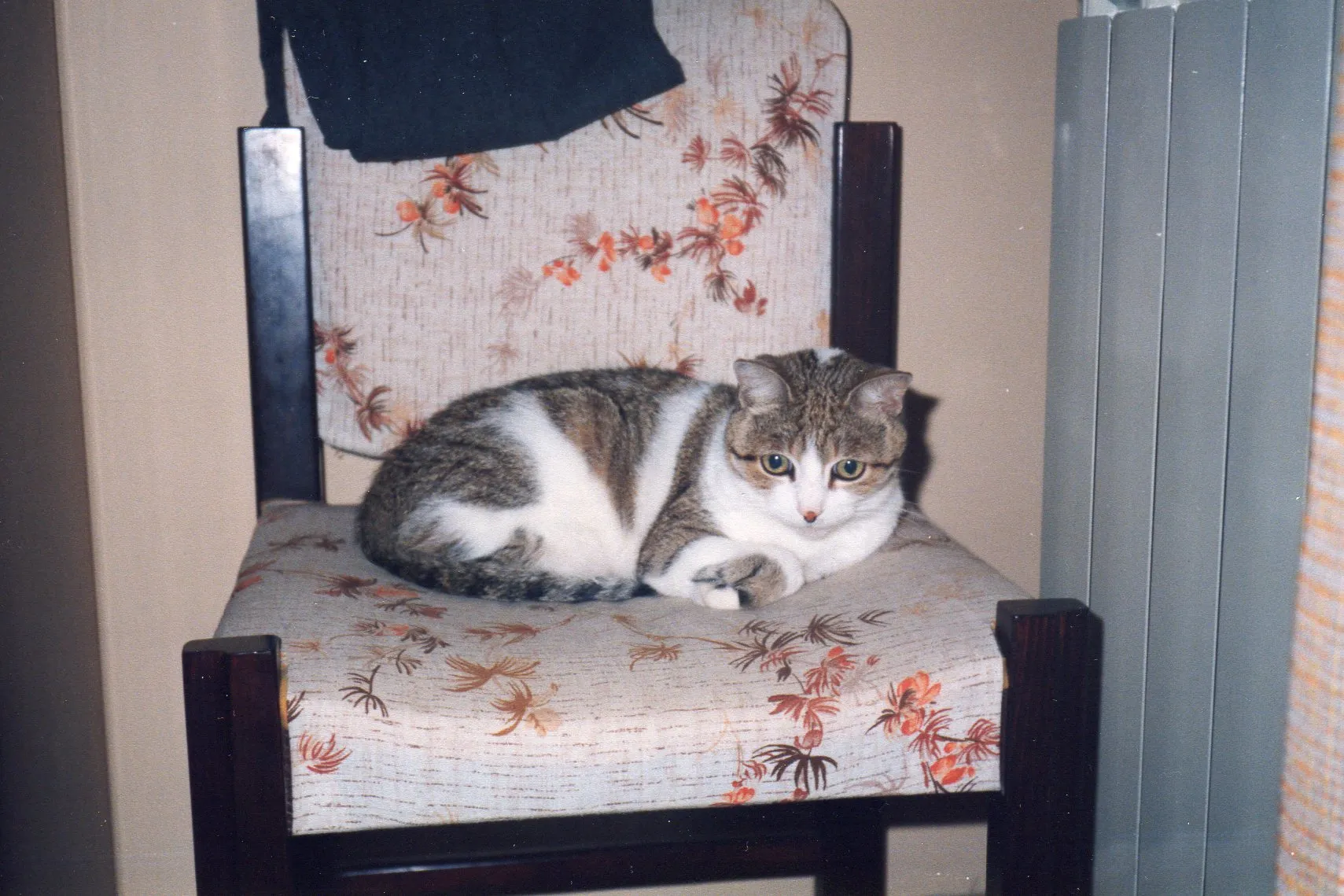 In my bedroom's chair, 1990