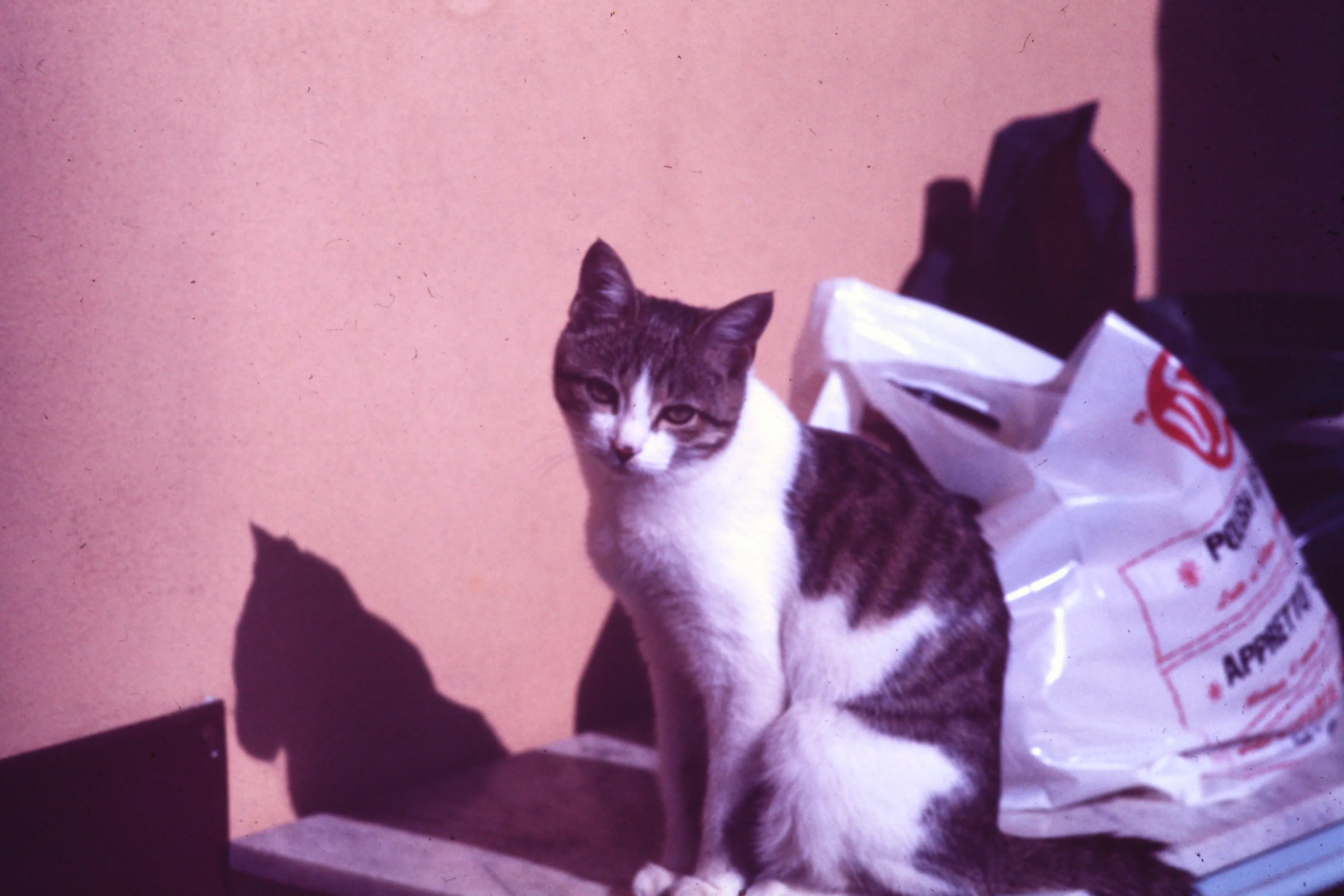 1975
