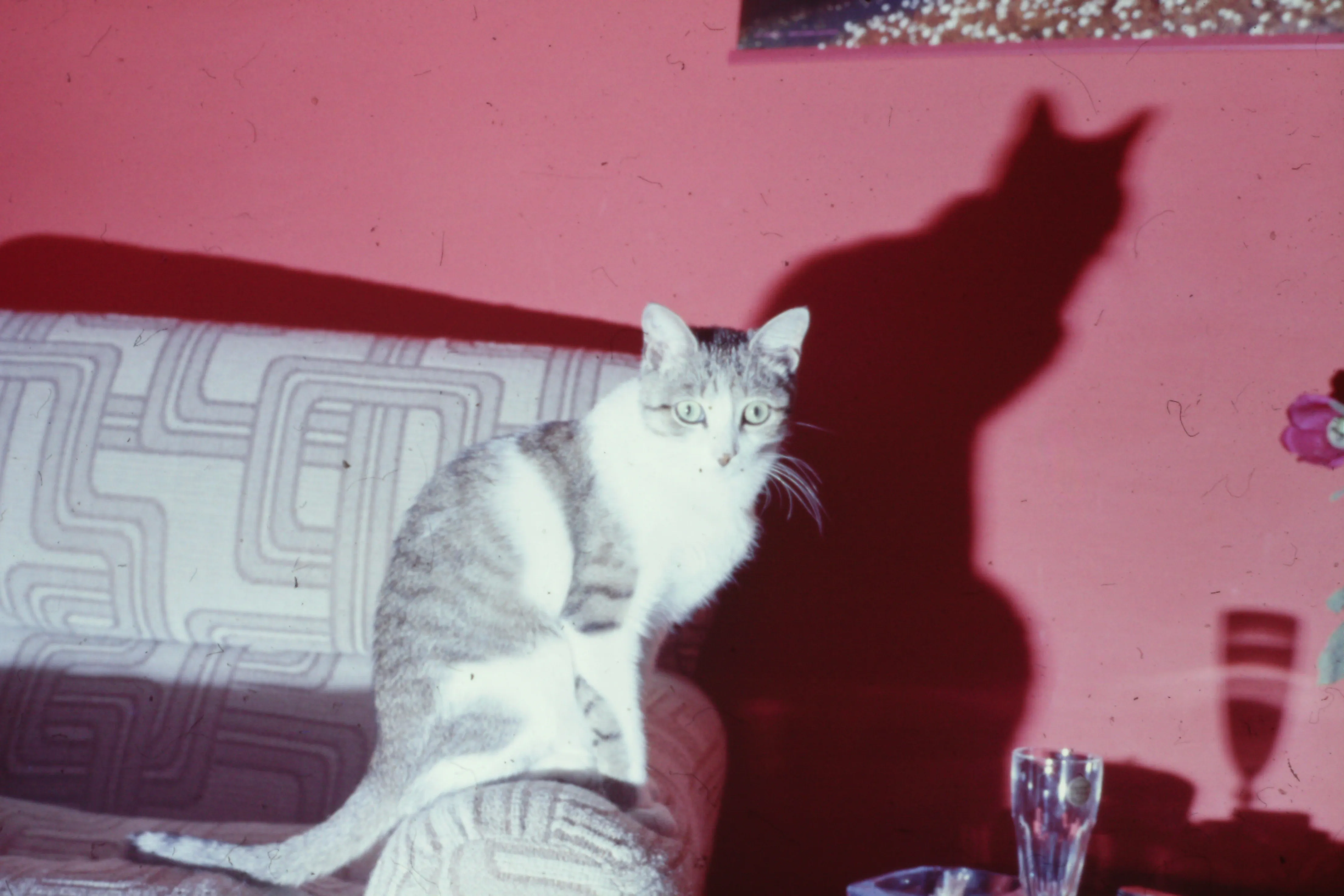 1975