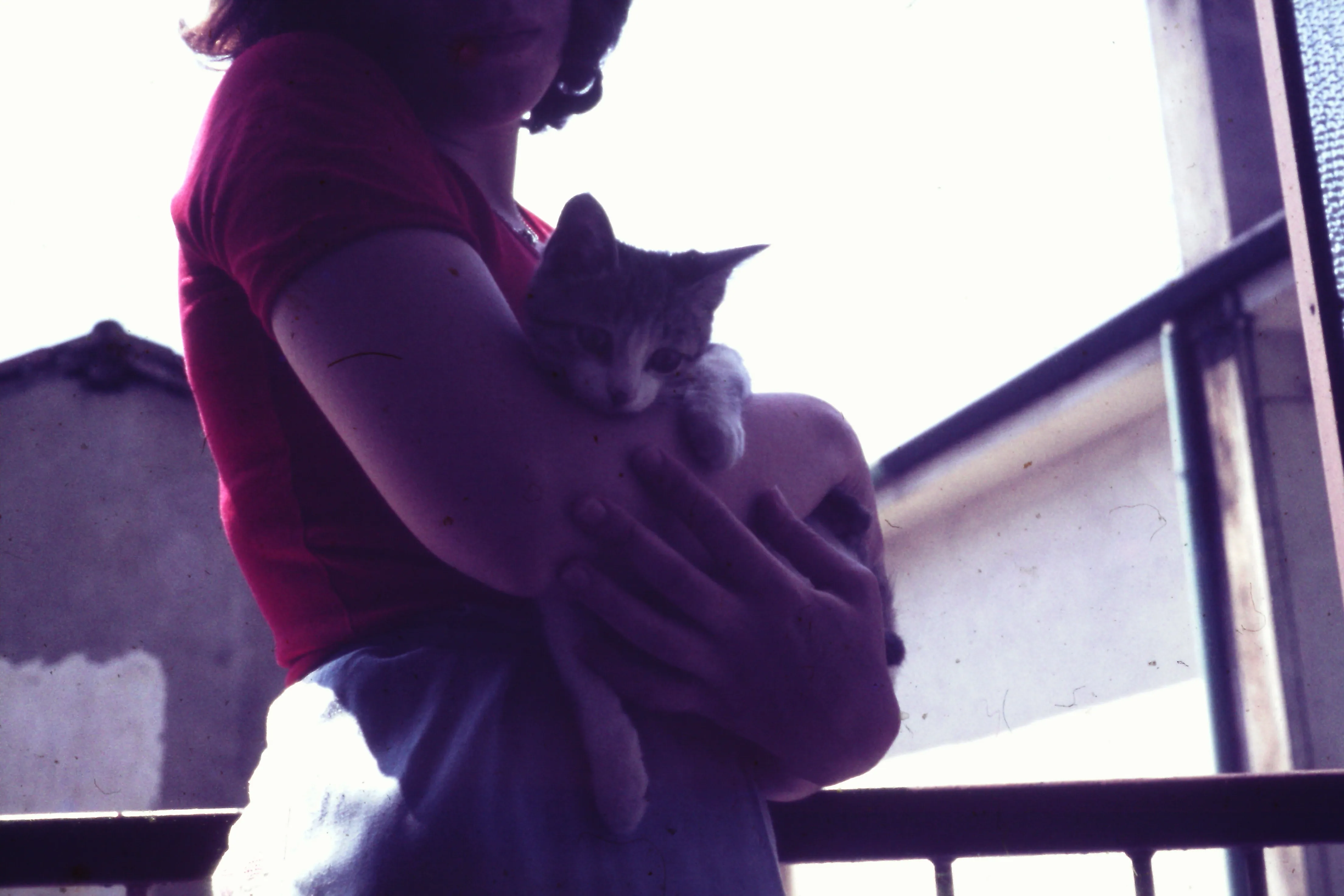 Little kitty with mum, 1975