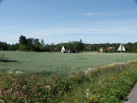 Palva