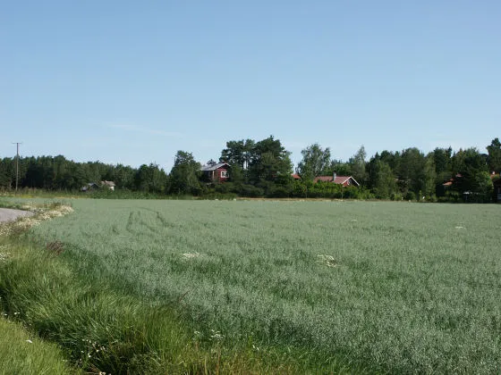 Palva