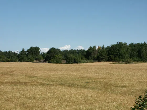 Velkuanmaa