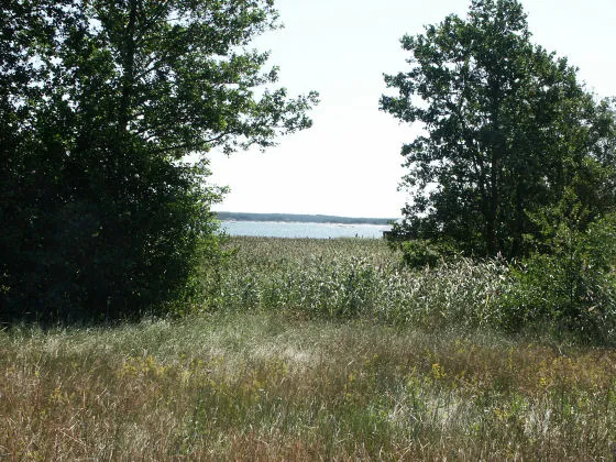 Velkuanmaa