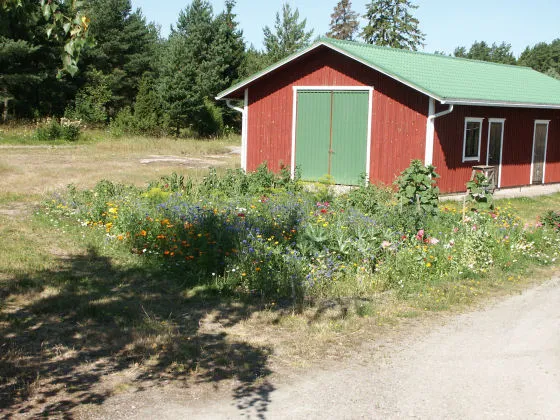 Velkuanmaa